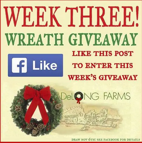 Annual Holiday Wreath Giveaway!