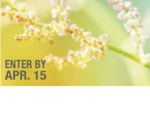 April Shopping Sweepstakes