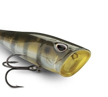 Arashi Cover Pop Giveaway