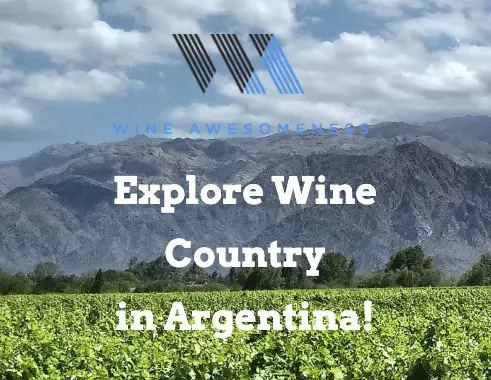 Argentina Malbec Wine Adventure