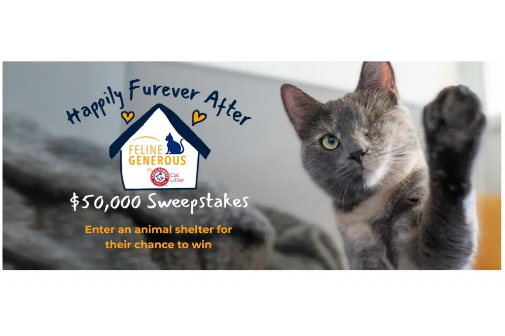 ARM & HAMMER Happily Furever After Sweepstakes - Win Vouchers for Cat Litter & Cash For Local Shelter
