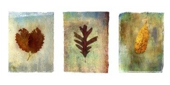Art.com Leaf Prints Giveaway, 10 Winners!