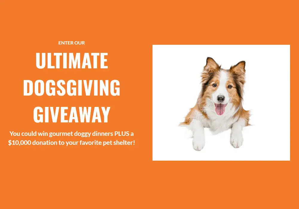 ASPCA Ultimate Dogsgiving Giveaway - Win Dog Meals, Pet Toys And A $10,000 Donation To A Pet Rescue Center