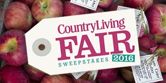 Atlanta Fair Travel Sweepstakes!