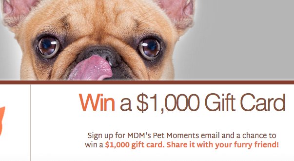 Attention Pet Lovers: Win a $1,000 Gift Card