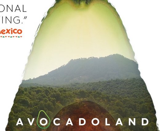 Avocadoland Twitter Sweepstakes