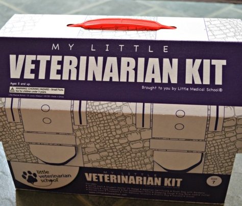 Awesome STEM Education with Little Medical School Kits