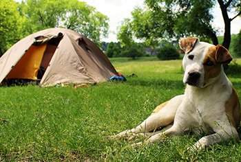 Back To College 2017 Sweepstakes