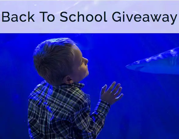 Back To School Sweepstakes