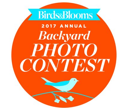 Backyard Photo Contest