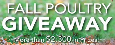 Backyard Poultry Fall Poultry Giveaway - Win Poultry Feeds and Supplies
