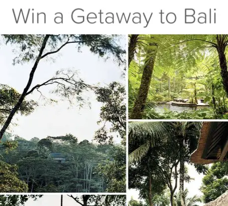 Bali 2018 Sweepstakes