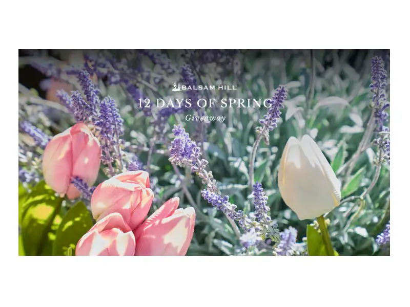 Balsam Hill 12 Days of Spring Giveaway - Win Faux-Ever Florals For Spring (12 Winners)