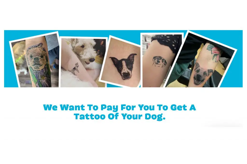 BARK Inc. National Dog Day Tattoo Contest - Win A $150 Gift Card For A Dog Tattoo & A $50 Doggie Gift Bag