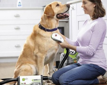 Barkbath #ABetterBath Contest