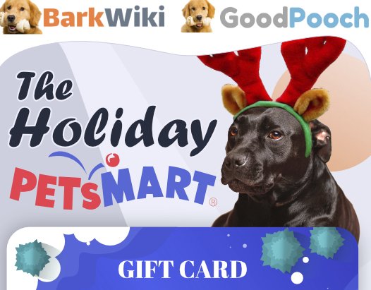 BarkWiki PetSmart Giveaway