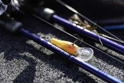 Bass Resource St Croix Fishing Rod Sweepstakes - Win 1 Of 3 Fishing Rods