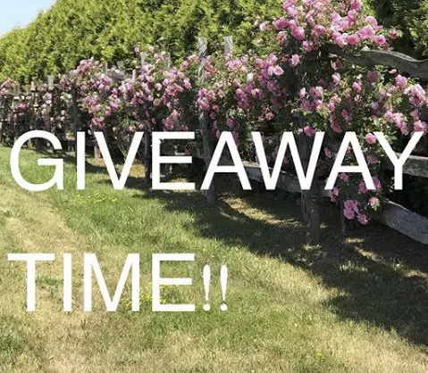 Win a Bath and Body Package