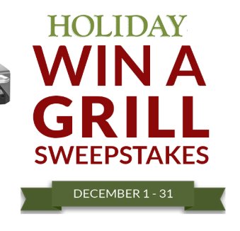 BBQGuys Holiday Win A Grill Sweepstakes