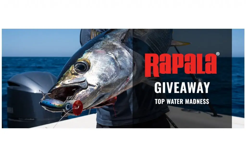 BD Outdoors Rapala Top Water Madness Giveaway - Win A $300 Gift Card