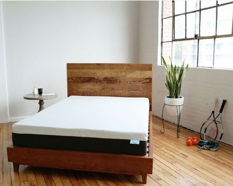 Bear Mattress Giveaway