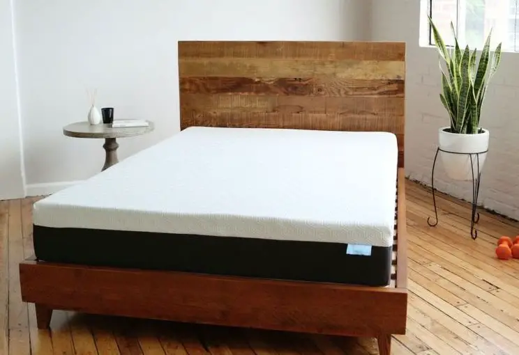 Bear Mattress + Mattress Protector + 2 Pillows