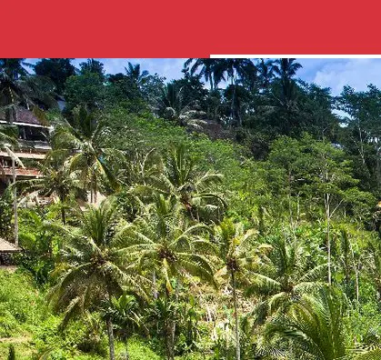 Beautiful Bali Sweepstakes