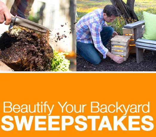Beautify Your Backyard