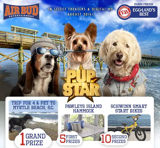 Become the Ultimate Pup Star, Win a Prize!