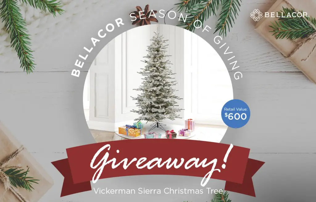 Bellacor  Season Of Giving Vickerman Sierra Christmas Tree Giveaway - Win A 6.5 Foot Christmas Tree