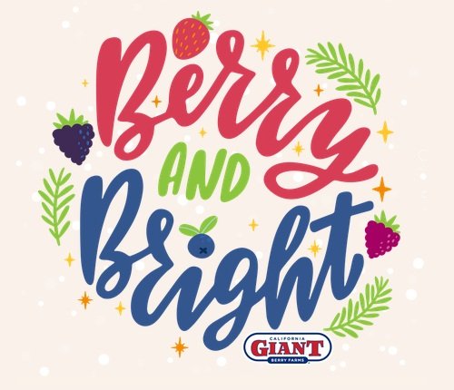 Berry and Bright Sweepstakes - Win $50, $100, $150 VISA Gift Cards, Cooking Appliances & More