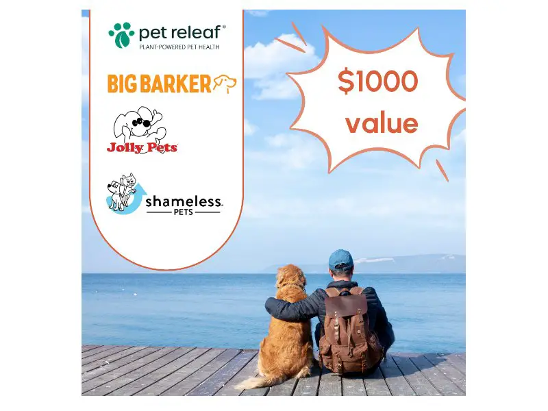 Big Barker Ultimate Fun in the Sun Dog Giveaway - Win Pet Products Worth $1,000