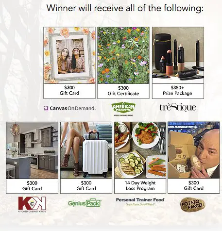 Big Gift Sweepstakes