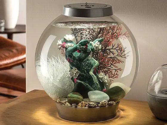 biOrb Aquarium Sweepstakes