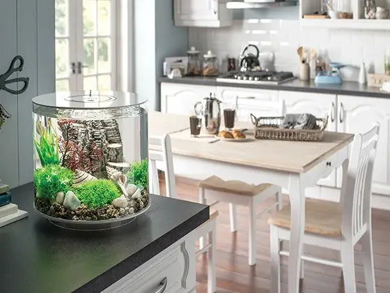 biOrb TUBE Tabletop Aquarium Sweepstakes