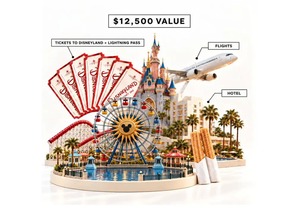 Birdie Blankets Giveaway - Win $12,500 For A Disneyland Family Vacation