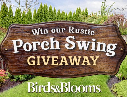 Birds & Blooms Rustic Porch Swing Giveaway