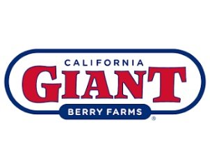 Bite Into Bliss Sweepstakes - Win Kitchen Tools and Gift Cards