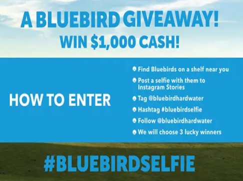 Bluebird Selfie Giveaway - Win $1,000 Cash {3 Winners}