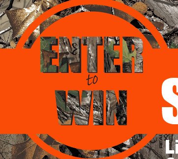 Bolt Solid Plate Sweepstakes