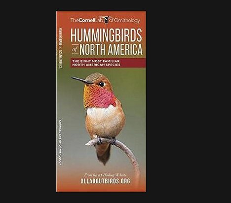 Boost Your Hummingbird IQ With A Hummer Prize Pack!