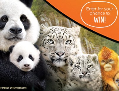 #BornInChina Sweepstakes