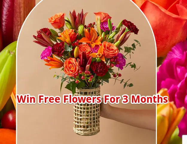 Bouqs Free Flowers New Year Sweepstakes – Win Free Flowers For 3 Months