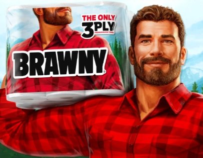 Brawny Home Essentials Sweepstakes - Win Free Brawny Paper Towels for a Year