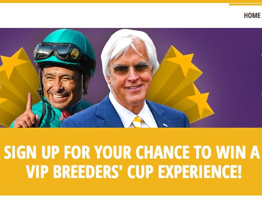Breeders' Cup World-Class Racing Experience Sweepstakes