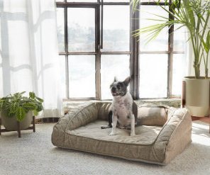 Brentwood Home Pet Bed Giveaway