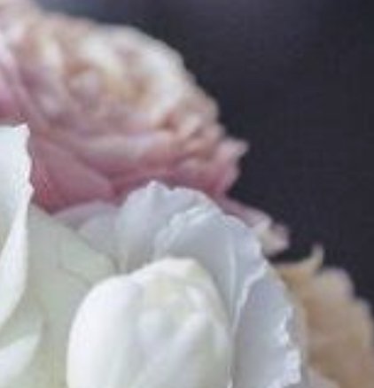 Bridal Dream Sweepstakes