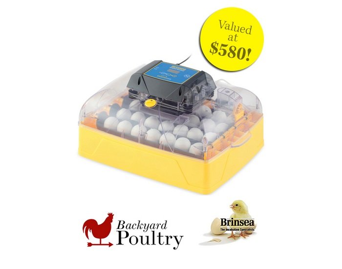 Brinsea Fall Giveaway - Win An Ovation 28 EX Incubator