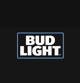 Bud Light Seltzer VIP Ski Getaway