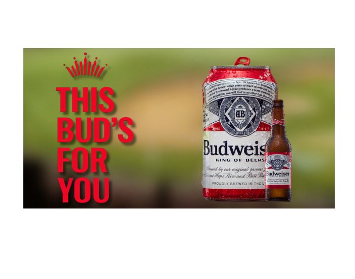 Budweiser This Buds For The Boil Sweepstakes - Win A Boiler, Cooler & More (Limited States)